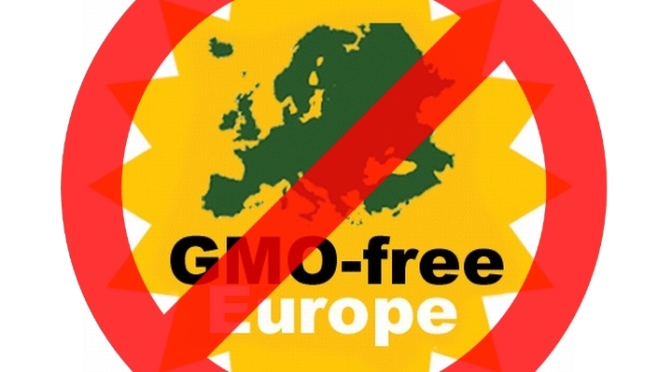 A GMO-mentesség vége?