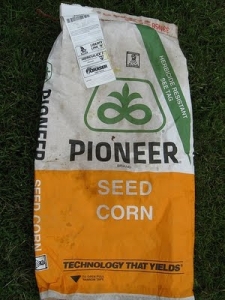 pioneer-corn