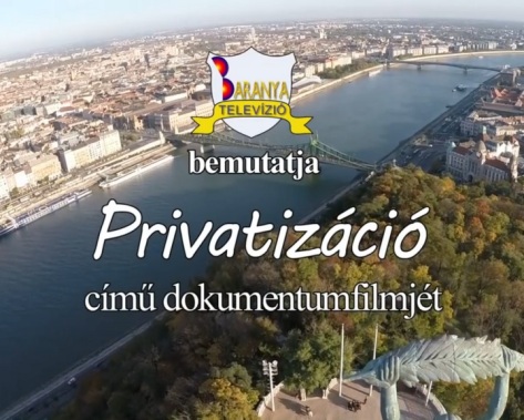 privatizáció